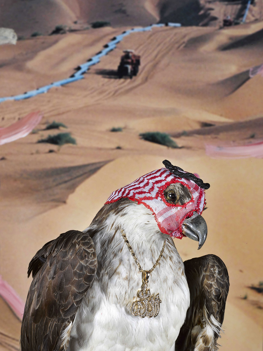 Eagle wearing a kufiya scarf covering its face and wearing an Arabic diamond-encrusted gold necklace that reads 'Allah'.